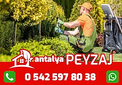 antalya-agac-bakimi