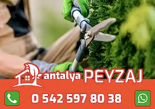 antalya-agac-budama