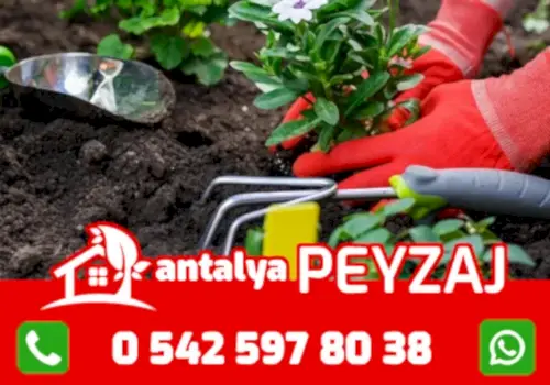 antalya-cicek-bakimi
